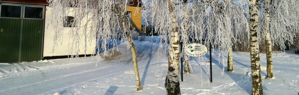Vintervitt på Norregården