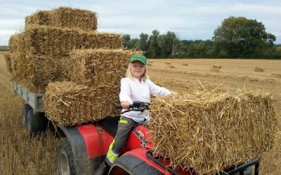 Halmkörning på Norregården