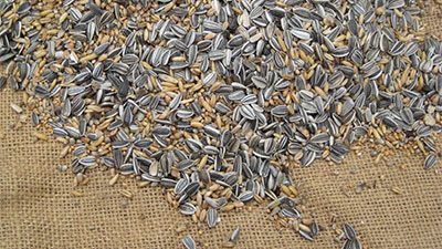 På Norregården kan du handla ostört utan att behöva träffa en enda kotte!