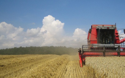 Nu är det full fart på Norregården!