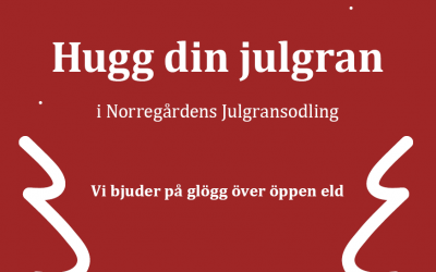 Hugg din egen julgran!