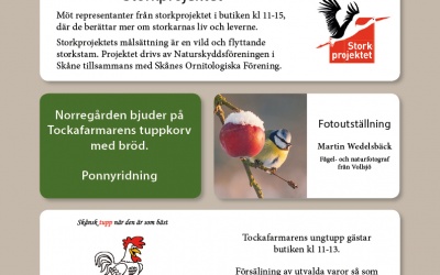 Fågellördag på Norregården 27 Januari kl 10-16
