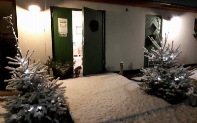 Tänk på trädgårdens fåglar i vinterkylan