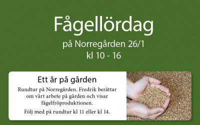 Fågellördag 26/1 på Norregården