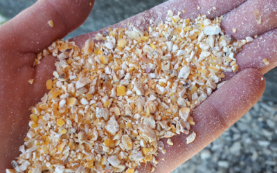 Krossad Majs – nu i butiken på gården!