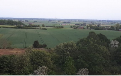 Lärkrutor på Norregården