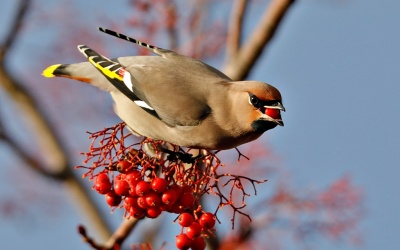 Välkommen till Norregården!