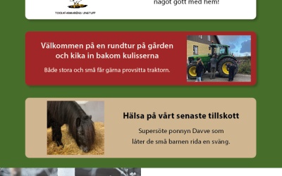 Fågellördag 11 Februari